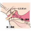 【画像】女性がイキやすいGスポット攻めや潮吹きとの関係