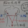 ９割の男は知らない。おっぱいの4つの愛撫性感帯の図解解説